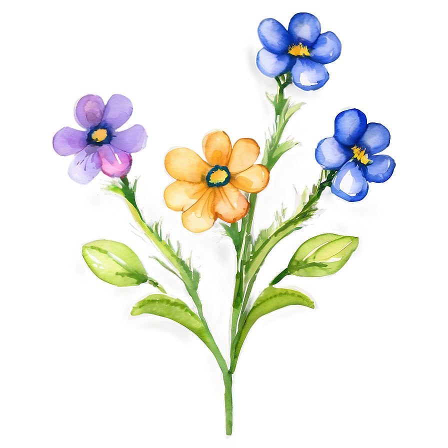 Watercolor Flower Transparent Png 05252024