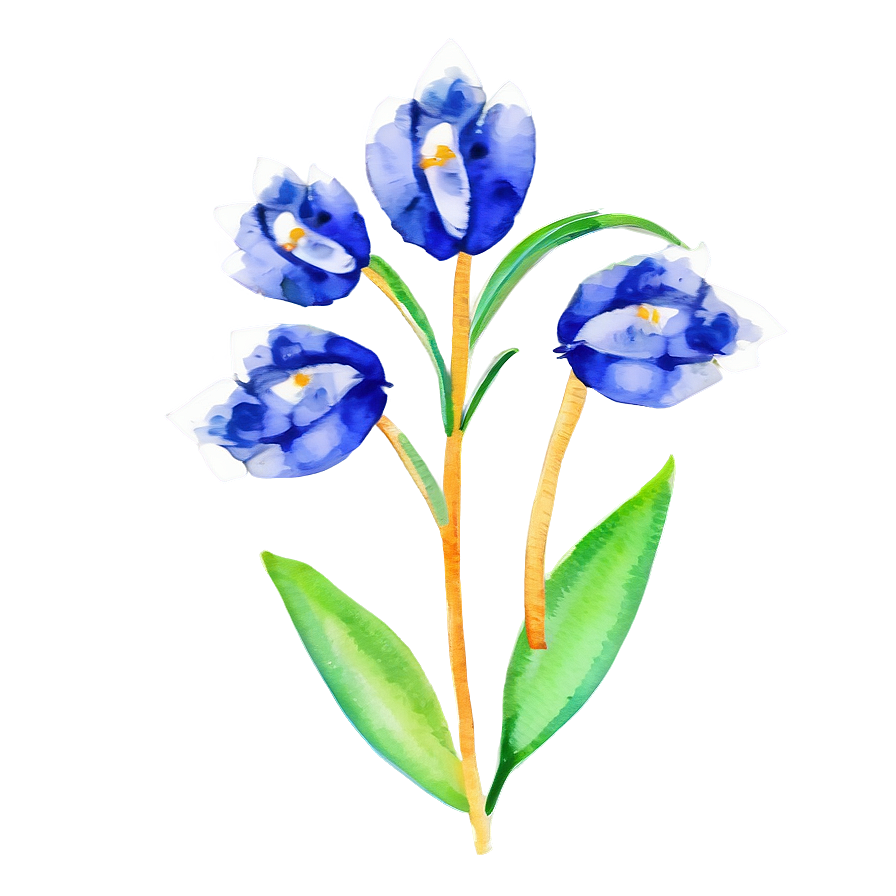 Watercolor Flower Whimsy Png 54