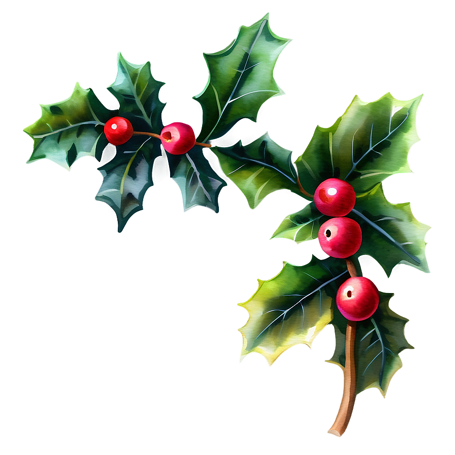 Watercolor Holly Png 64