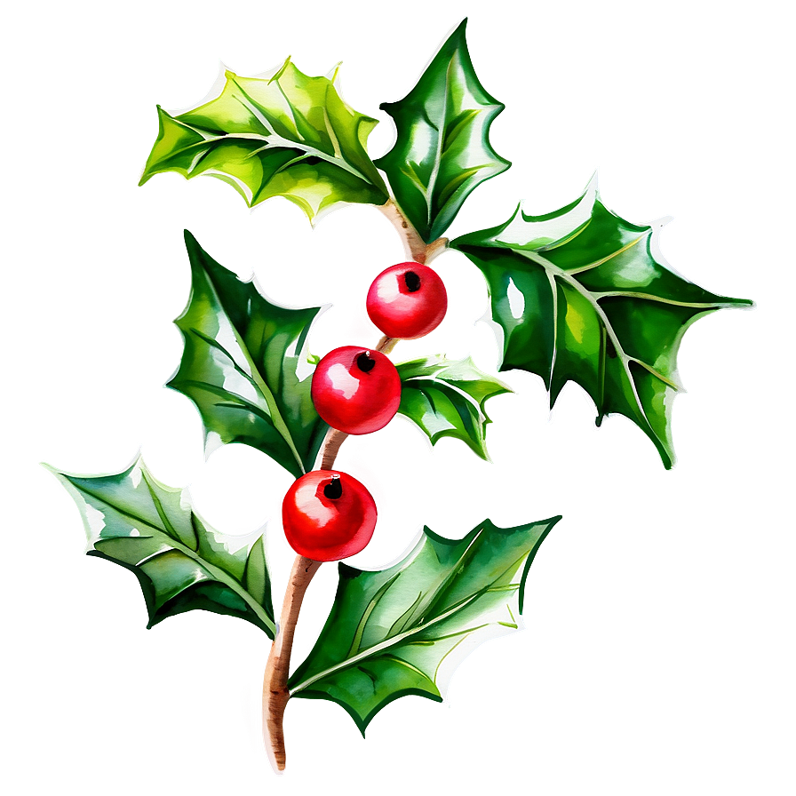 Watercolor Holly Png Kbj