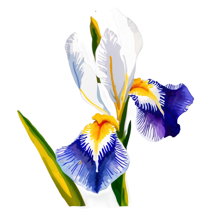 Watercolor Iris Art Png 06122024