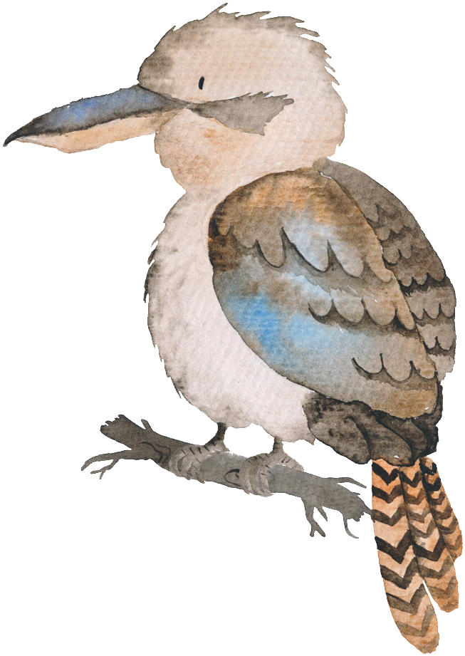 Watercolor Kookaburra Illustration