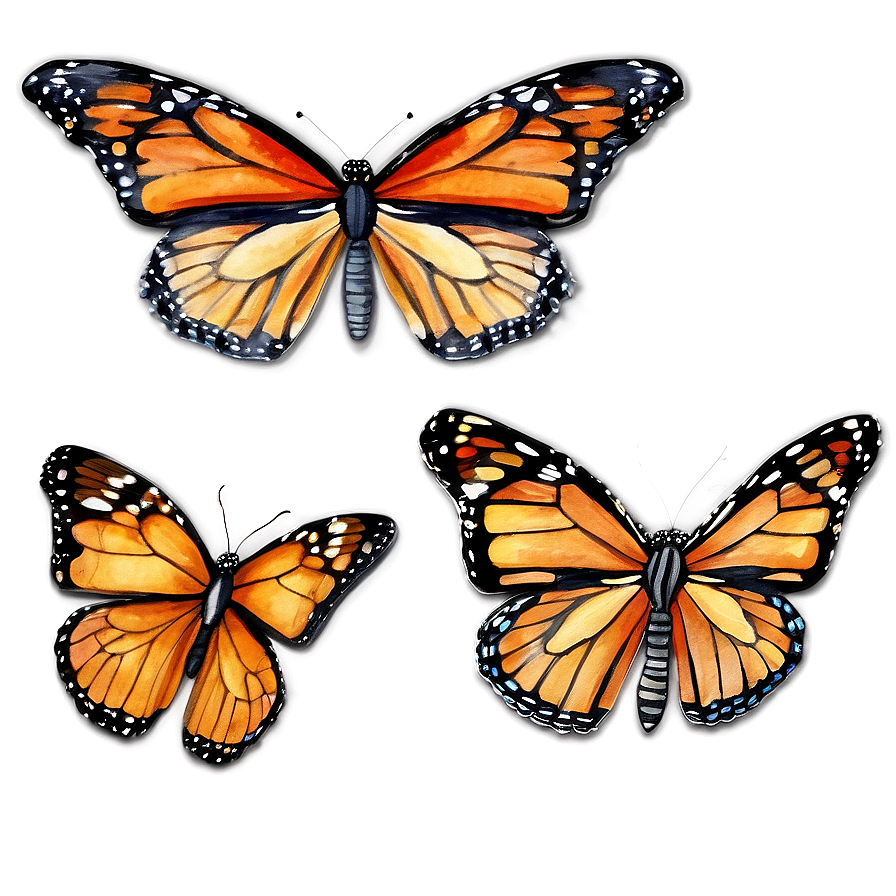 Watercolor Monarch Butterflies Png Iha