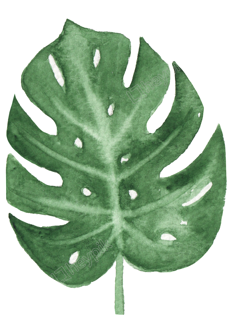 Watercolor Monstera Leaf Art