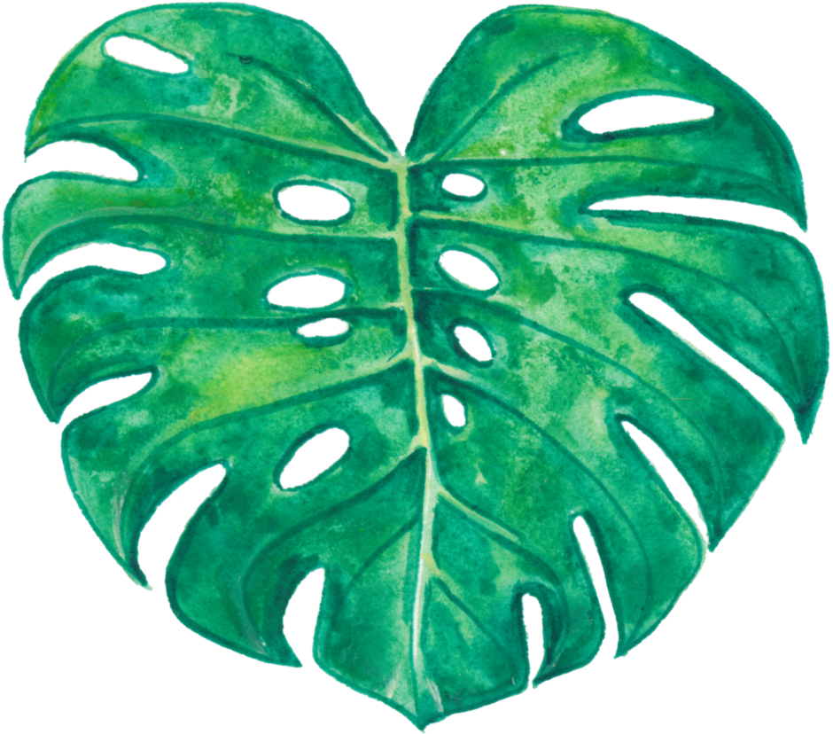 Watercolor Monstera Leaf Artwork