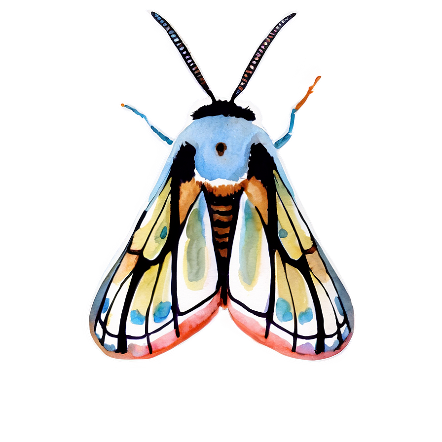 Watercolor Moth Png 05242024