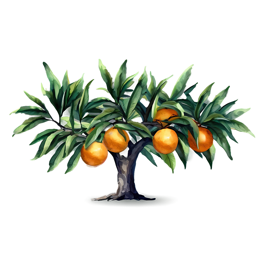 Watercolor Orange Tree Png 06132024