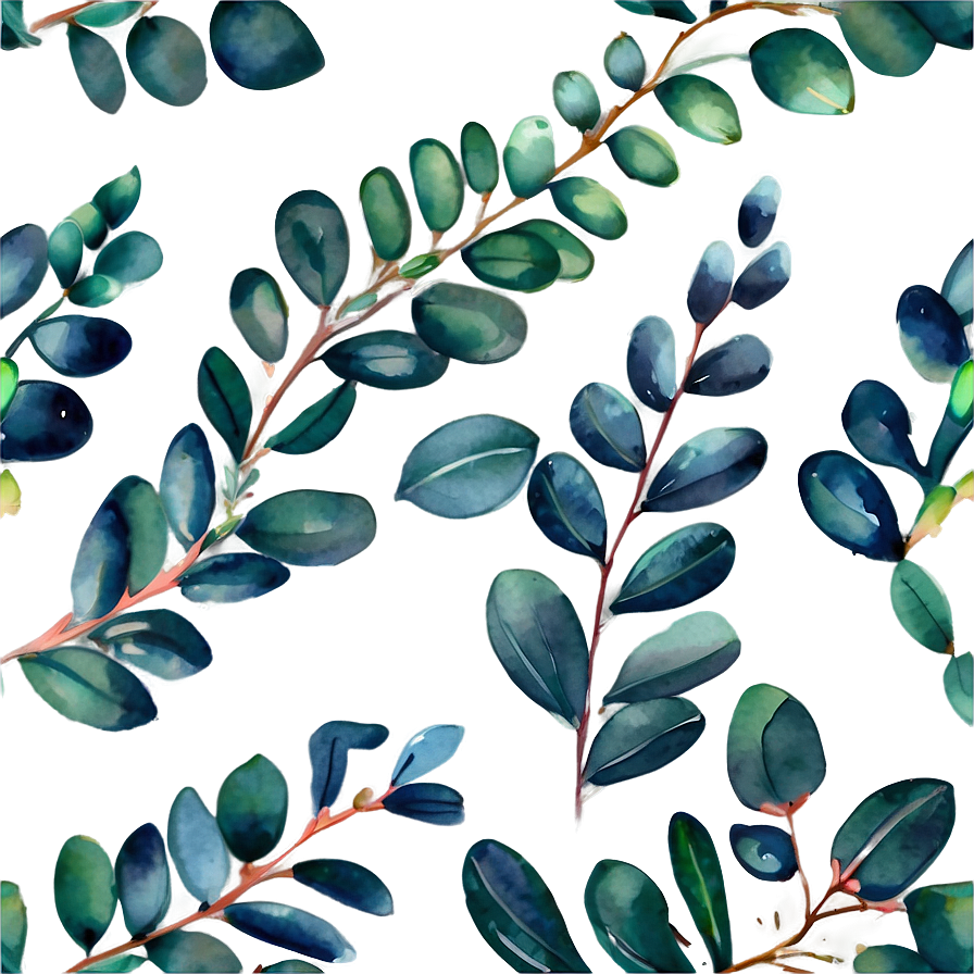 Watercolor Painted Eucalyptus Png Qqg