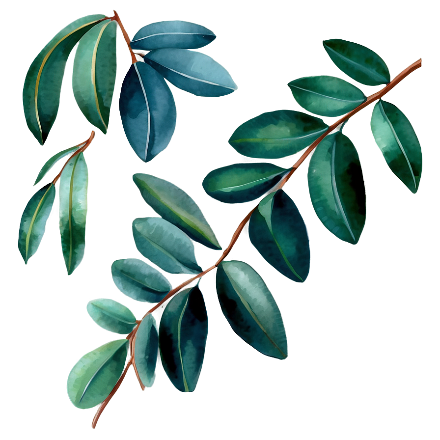 Watercolor Painted Eucalyptus Png Til57