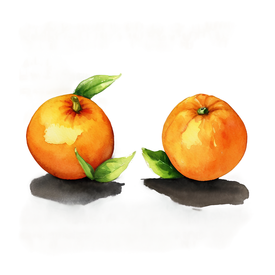 Watercolor Painted Orange Png 05032024