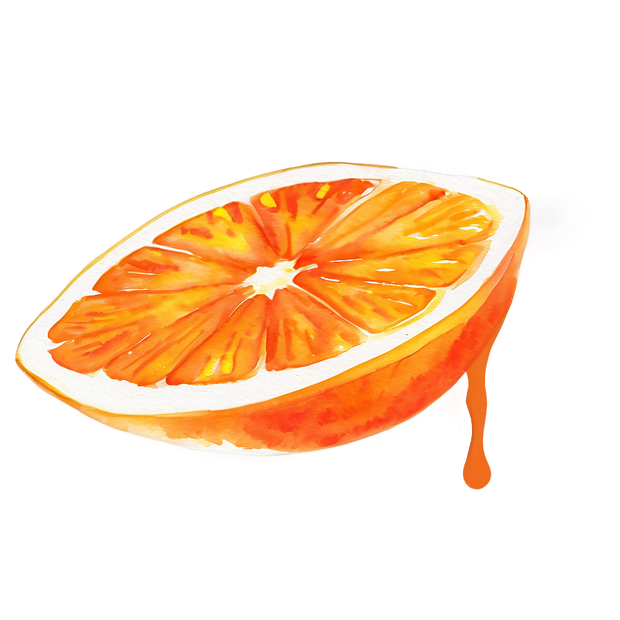 Watercolor Painted Orange Png Ynv