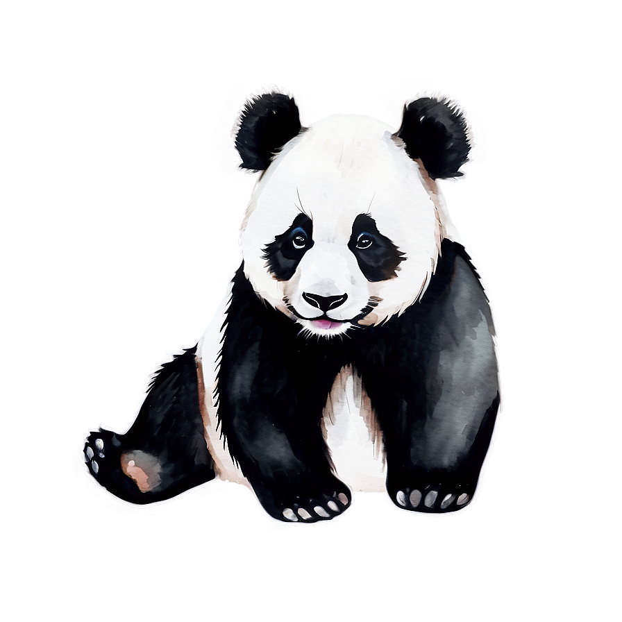 Watercolor Panda Art Png 05062024