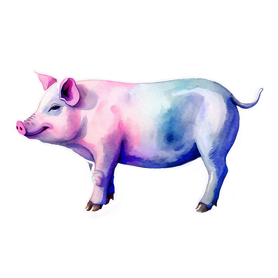 Watercolor Pig Png Bjo86