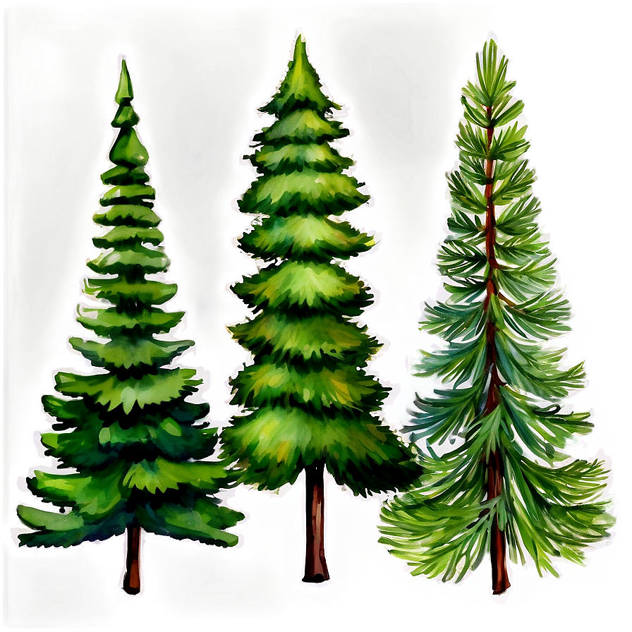 Watercolor Pine Trees Png Dot