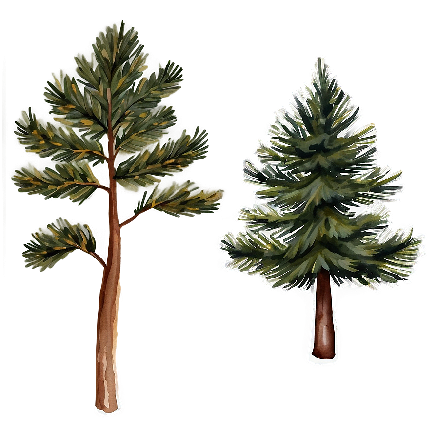 Watercolor Pine Trees Png Uxg79