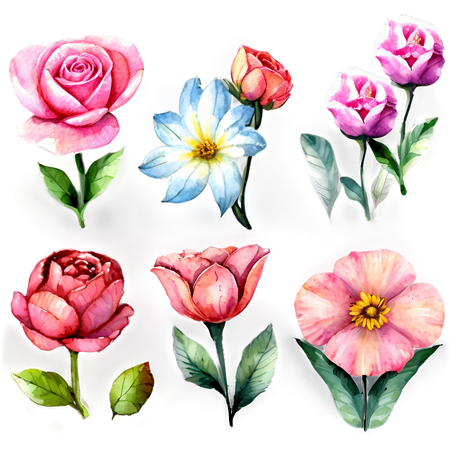 Watercolor Pink Flowers Png 05242024