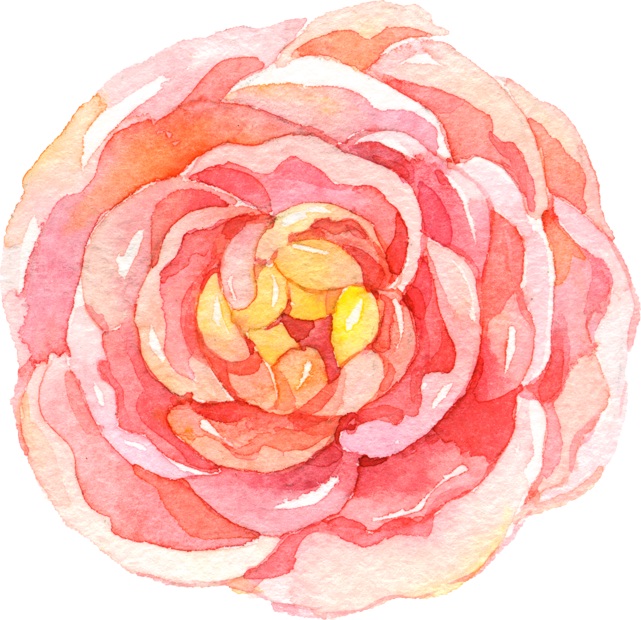 Watercolor Pink Rose Artwork