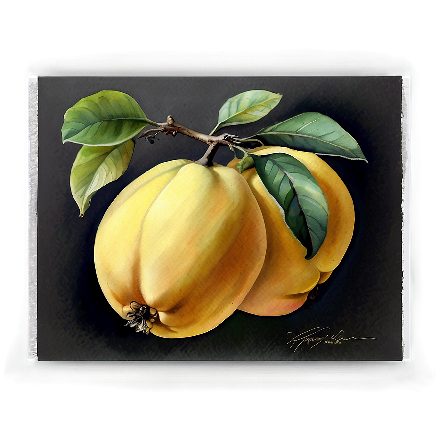 Watercolor Quince Painting Png Ysd