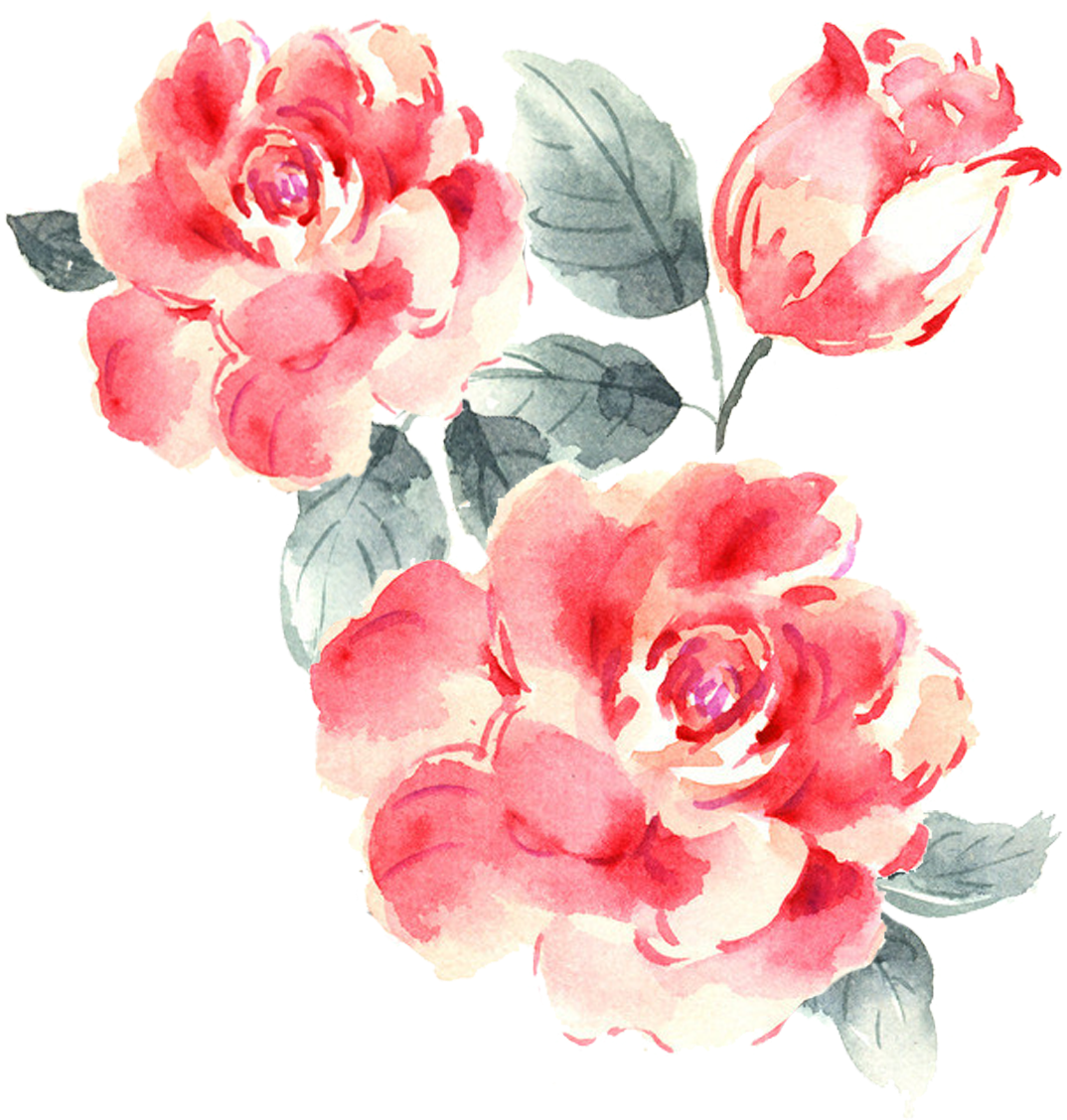 Watercolor Roses Illustration