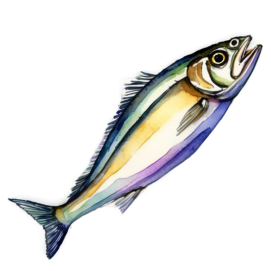 Watercolor Sardine Png 63