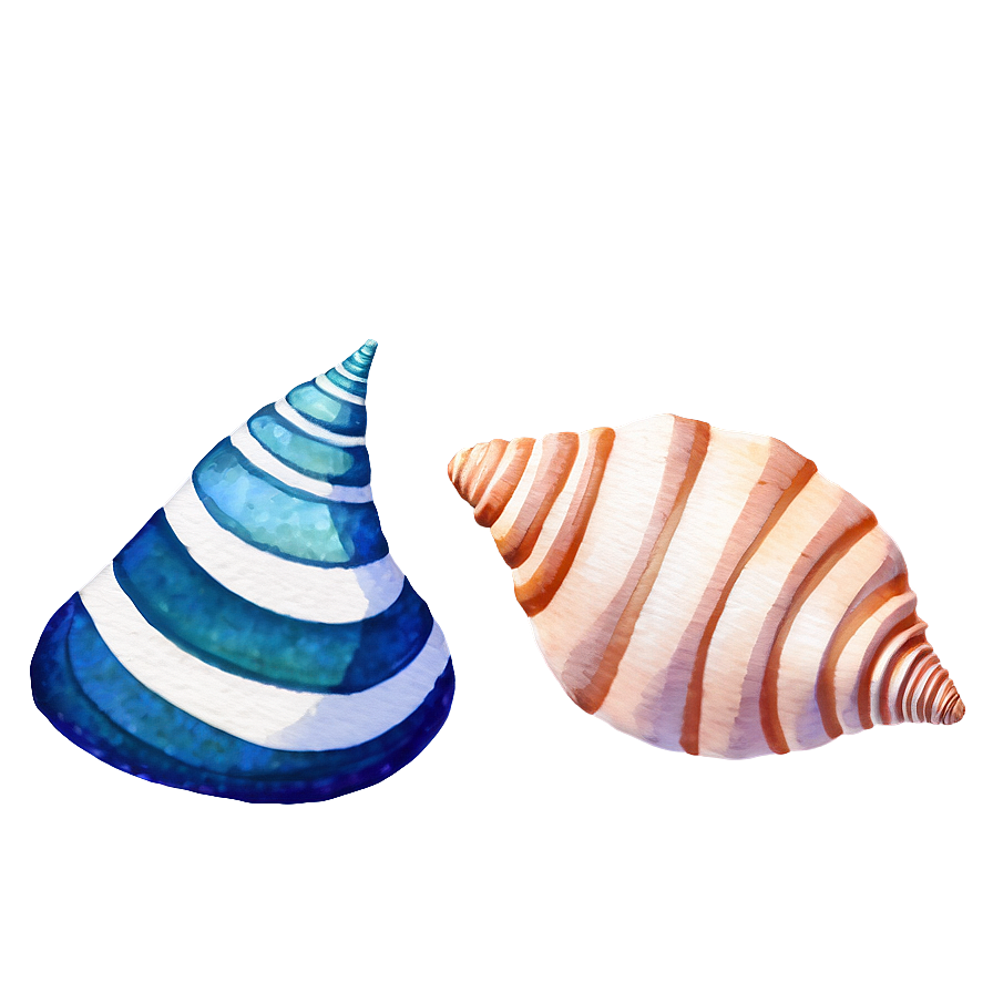 Watercolor Seashell Clipart Png 78