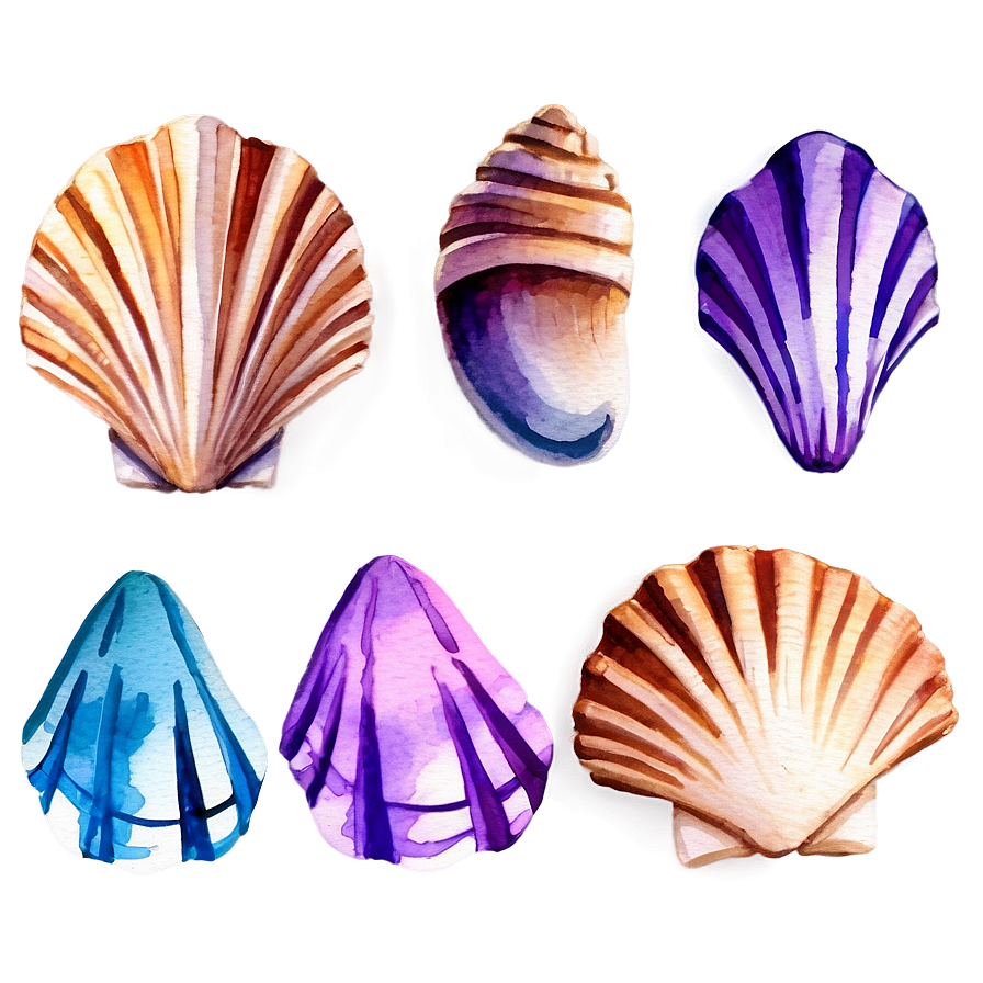 Watercolor Seashells Png 06132024