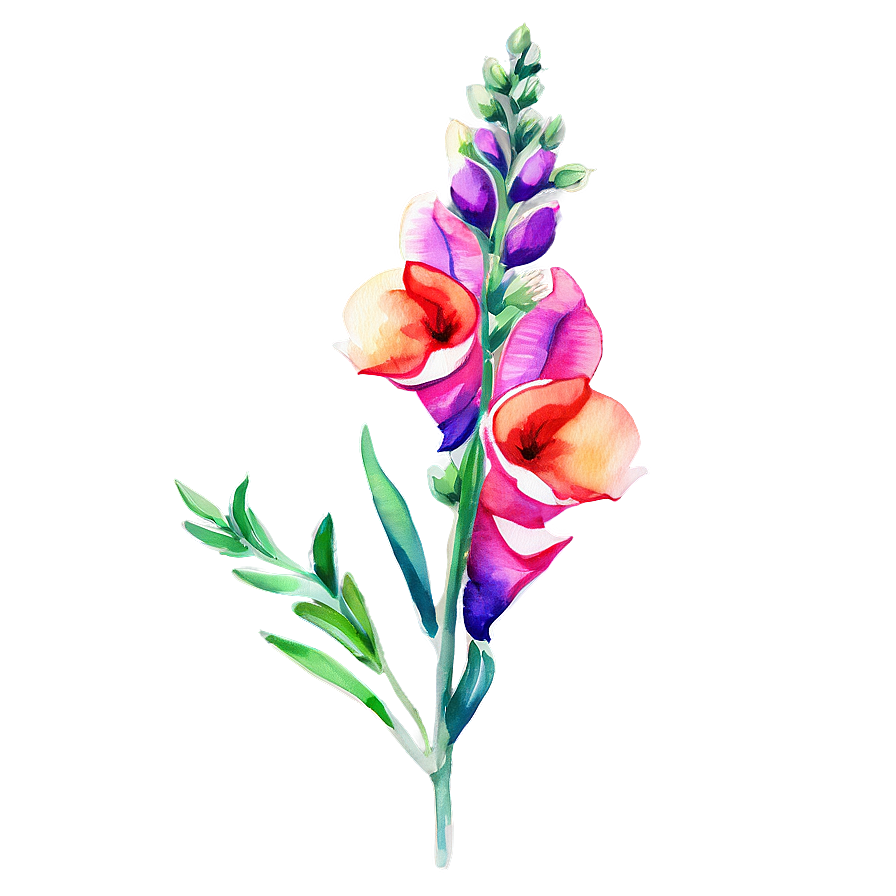 Watercolor Snapdragon Flowers Png Dqn