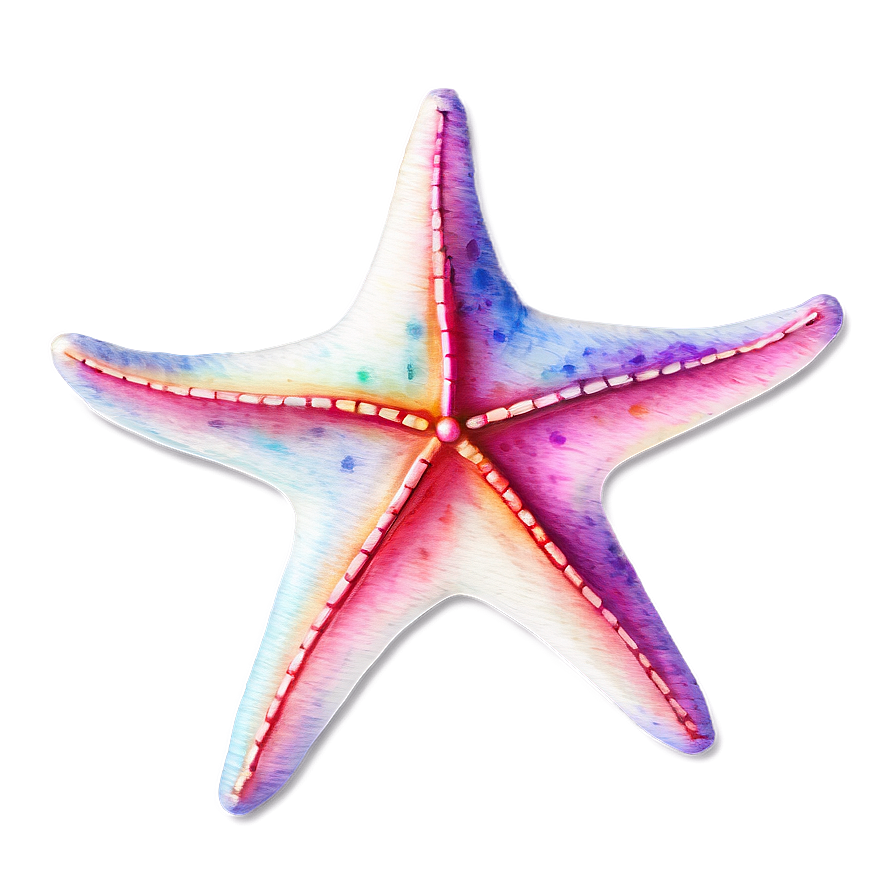 Watercolor Starfish Art Png Yjv6