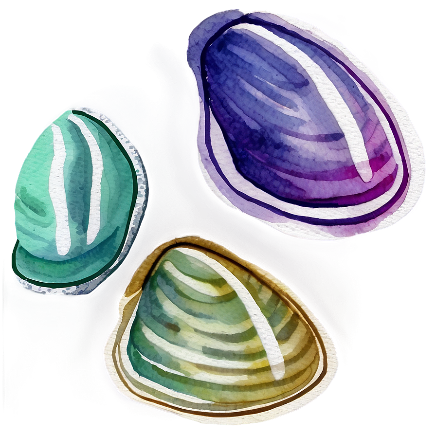 Watercolor Style Clam Png 05242024