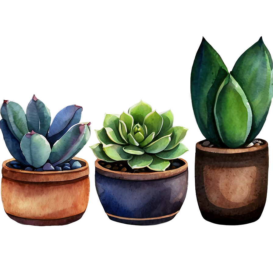 Watercolor Succulent Png Hhi