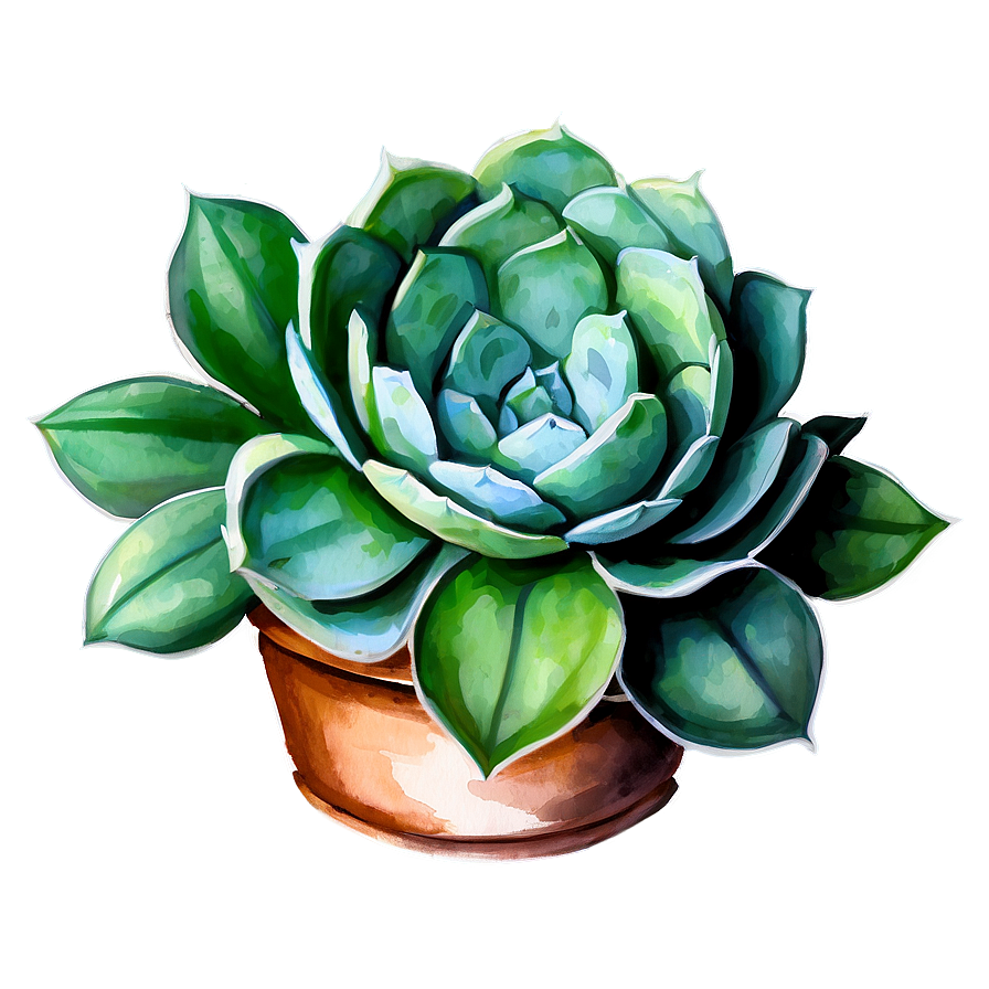 Watercolor Succulents Art Png 70