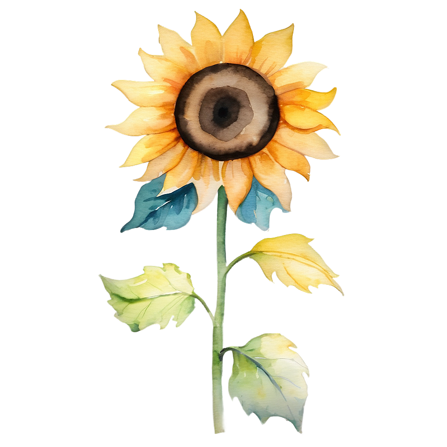 Watercolor Sunflower Transparent Png 58