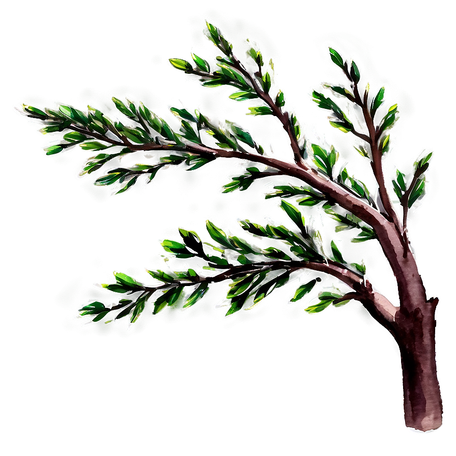 Watercolor Tree Branch Png Mab