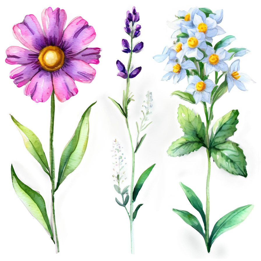 Watercolor Wildflowers Clipart Png 48