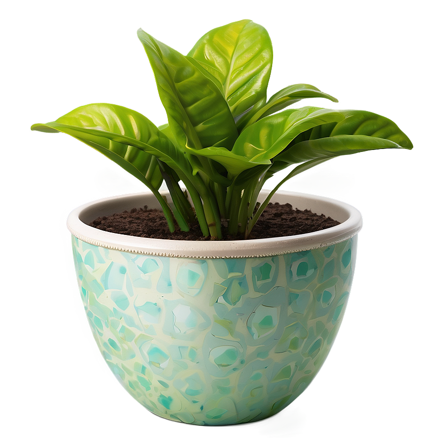 Waterwise Houseplant Png 06202024