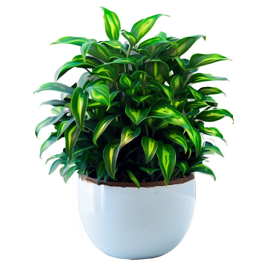 Waterwise Houseplant Png 9