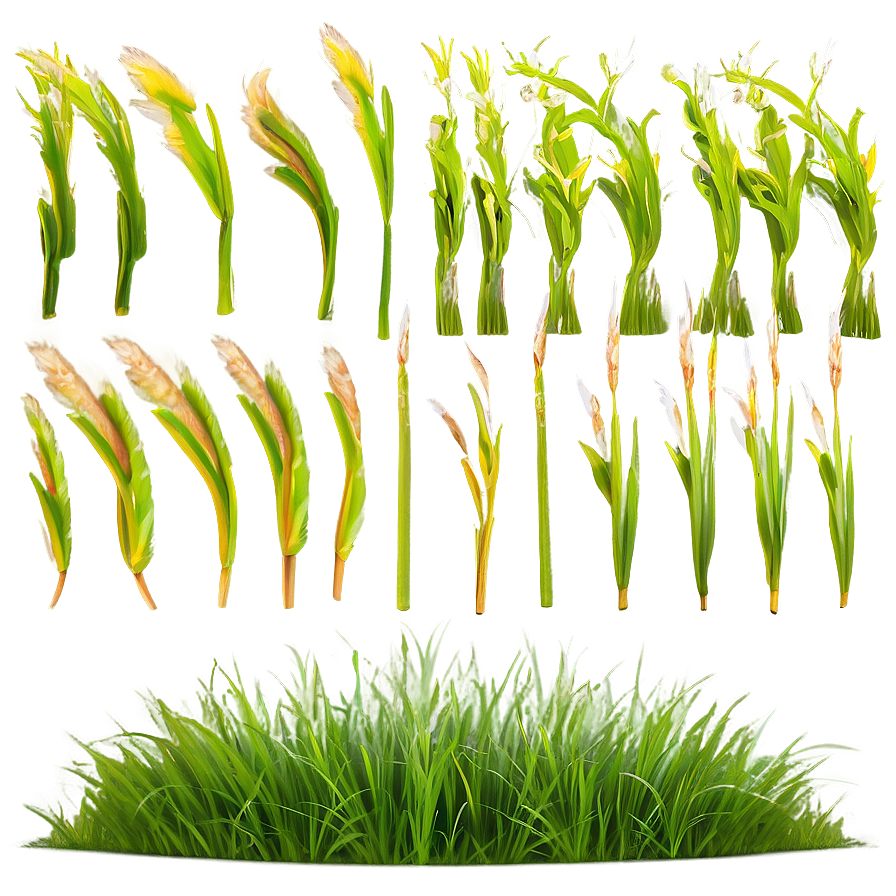 Waving Grass Animation Png Qhg69