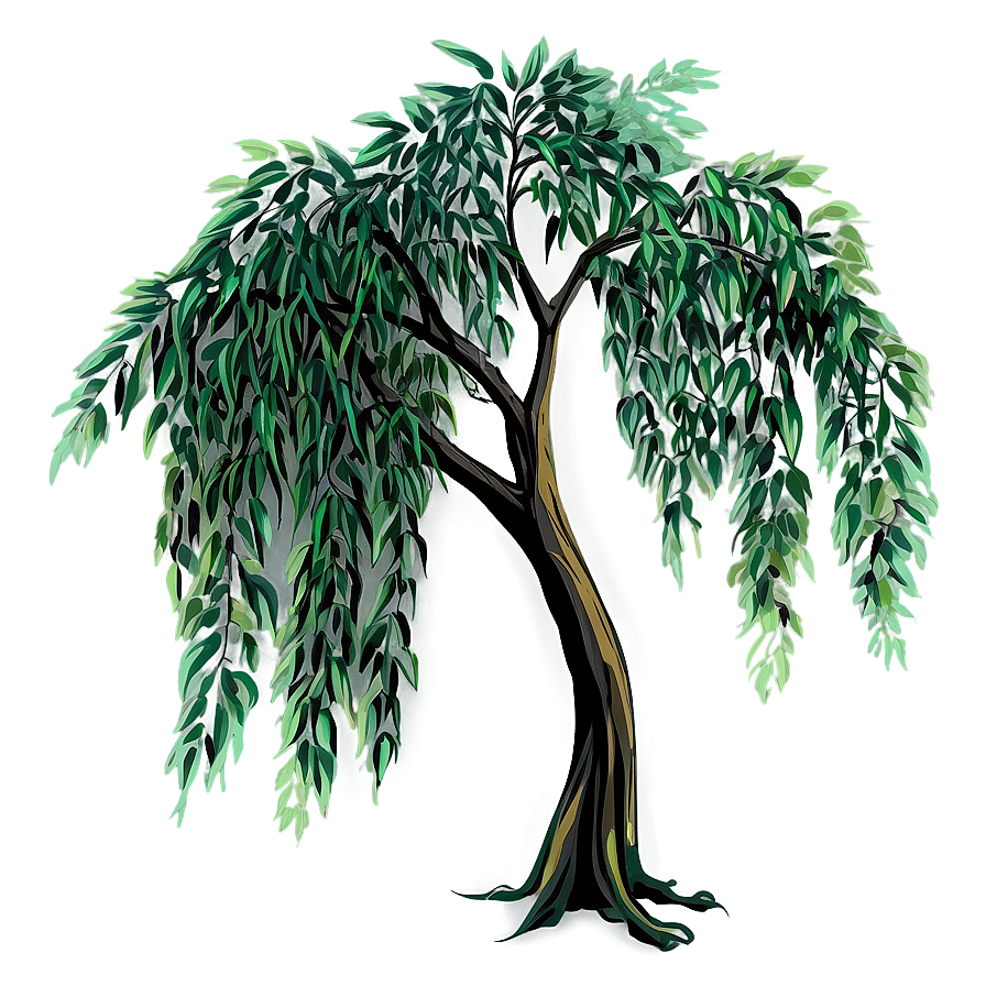 Weeping Willow Drawing Png 06122024