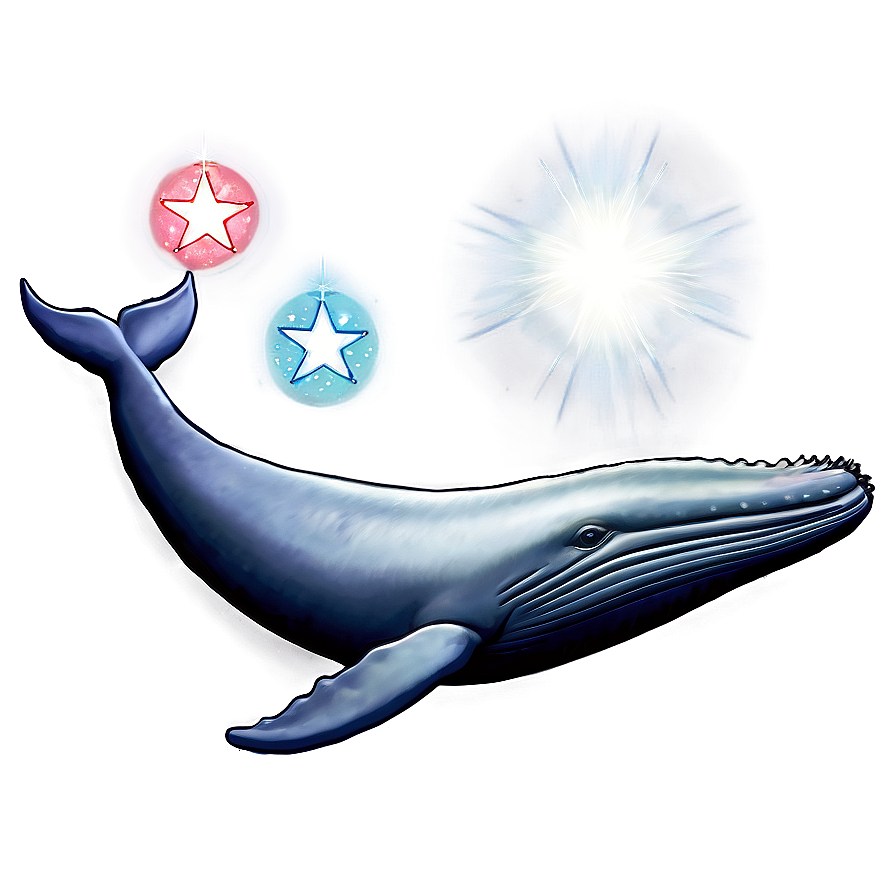 Whale And Stars Png Bni