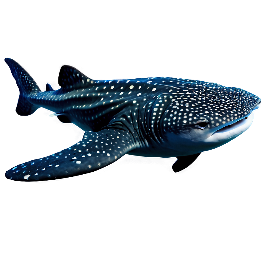 Whale Shark Png Tnv87