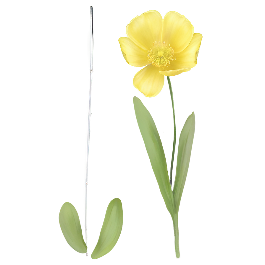 Whimsical Buttercup Png Dtx