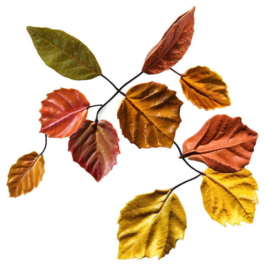 Whirling Autumn Leaves Png Uwj