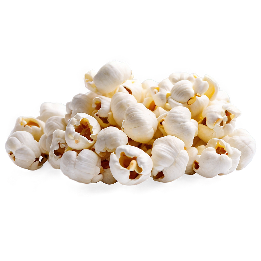 White Background Popcorn Kernel Png 06292024