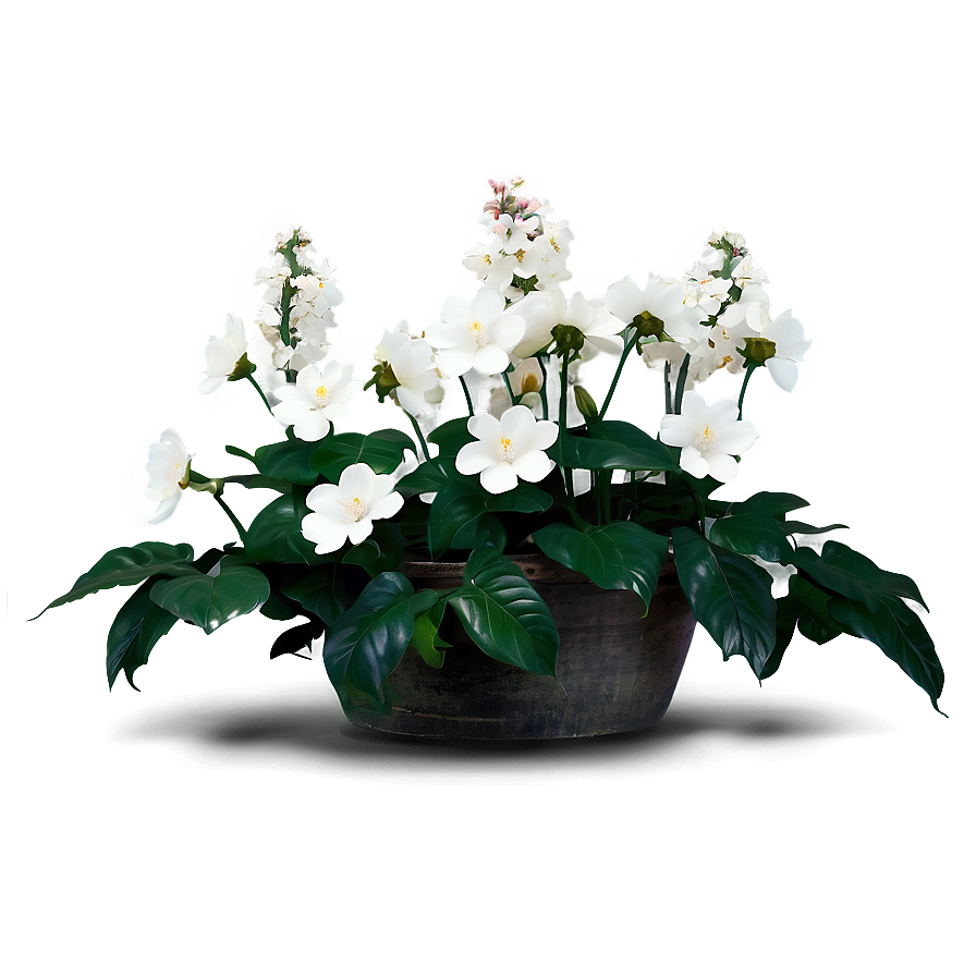 White Blooming Flowers Garden Png Npj64