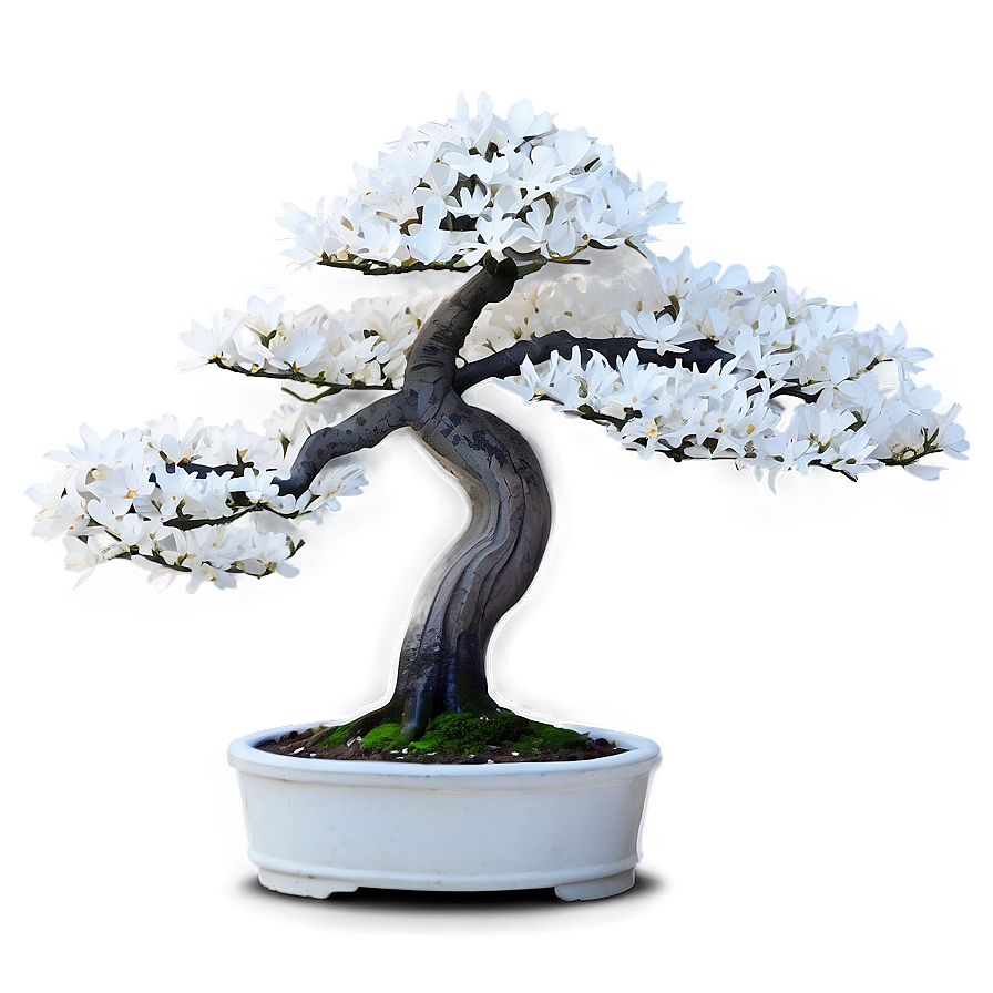 White Bonsai Tree Artwork Png Ivc3