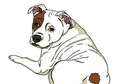 White Brown Dog Illustration