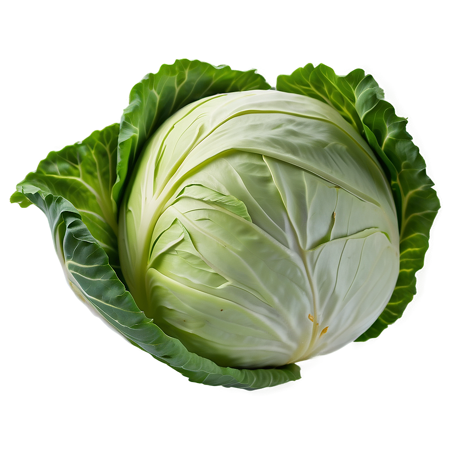 White Cabbage Png Wvm57