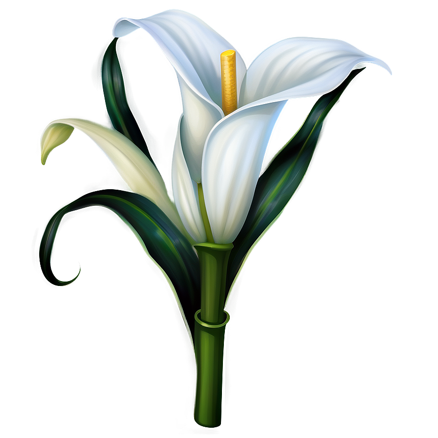 White Calla Lily Png Uhv10