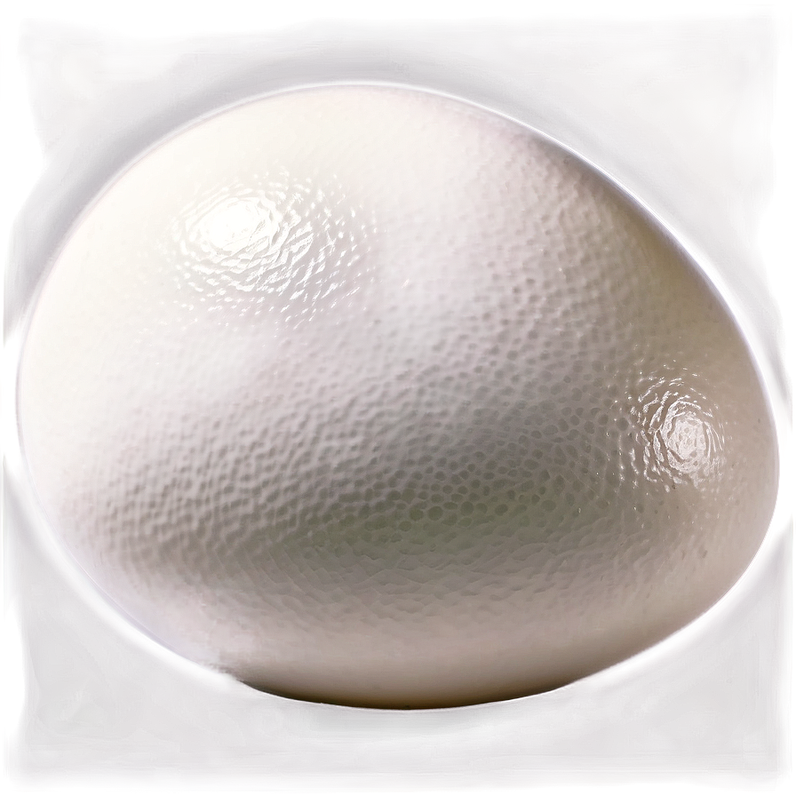 White Chicken Egg Png 6