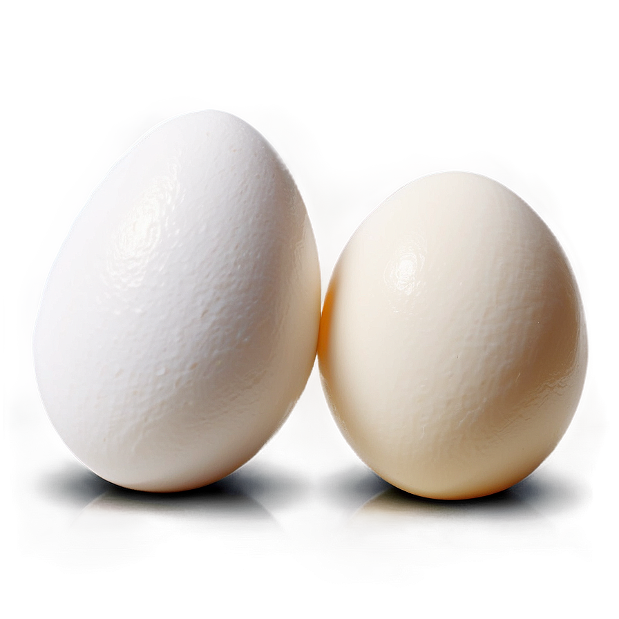 White Chicken Egg Png Ecf68